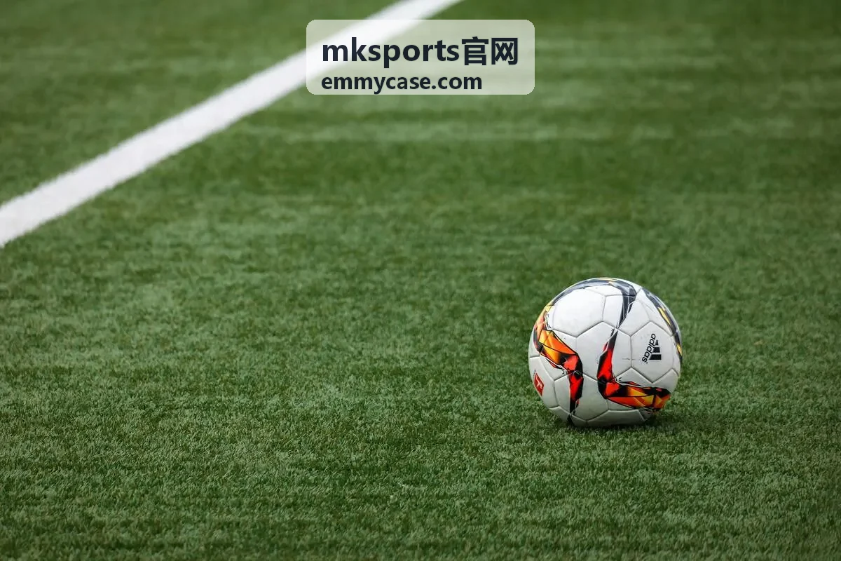 mksports官网会员中心权益总览界面展示