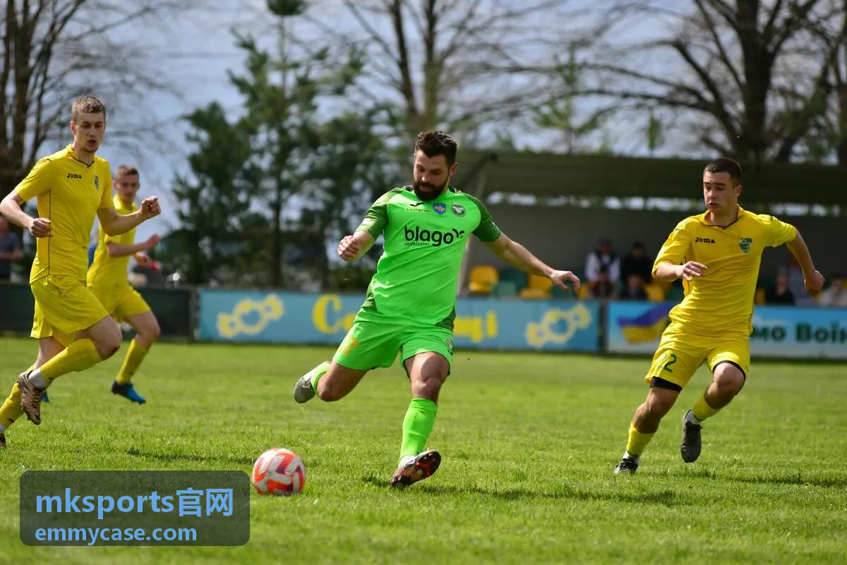 mksports官网高级档会员的数据导出与专属客服界面